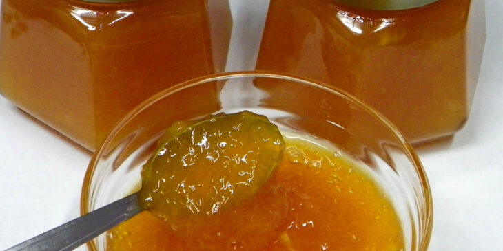 Como fazer geleia de laranja? (receita fácil)