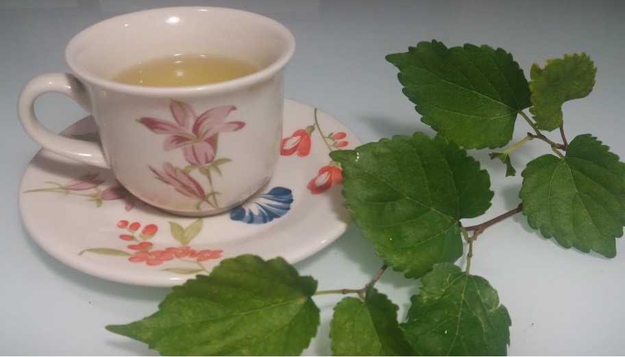 O chá de folhas de amora do !mesaesabor proporciona uma série de benefícios