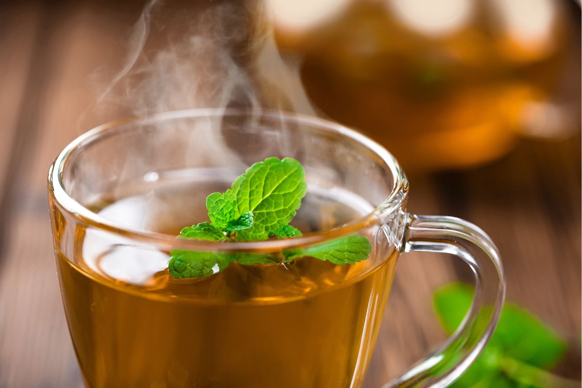 Para que serve o chá de hortelã" 5 benefícios que você nem imaginava