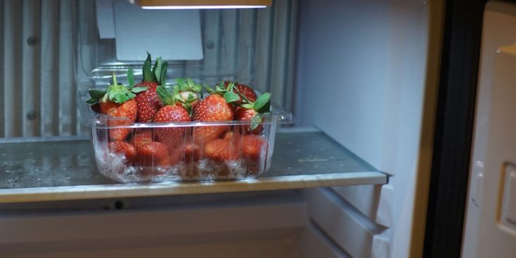 como conservar morango na geladeira