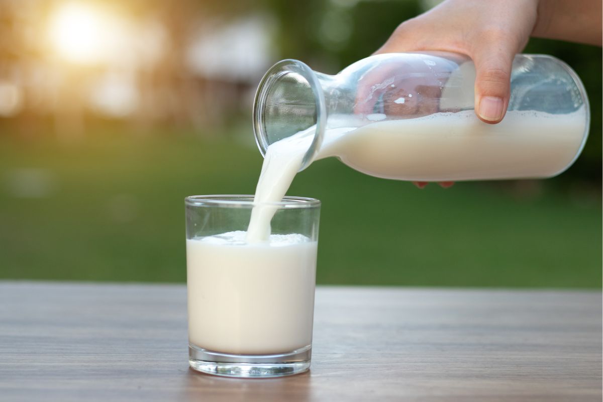 Nunca foi tão fácil substituir o leite de vaca! aprenda essas receitas