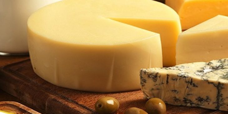 receita queijo parmesão globo rural queijo parmesão tempo maturação como fazer queijo parmesão industrial queijo parmesão kg receita com queijo parmesão queijo parmesão 1kg quantos litros de leite para fazer 1kg de queijo parmesão queijo parmesão preço
