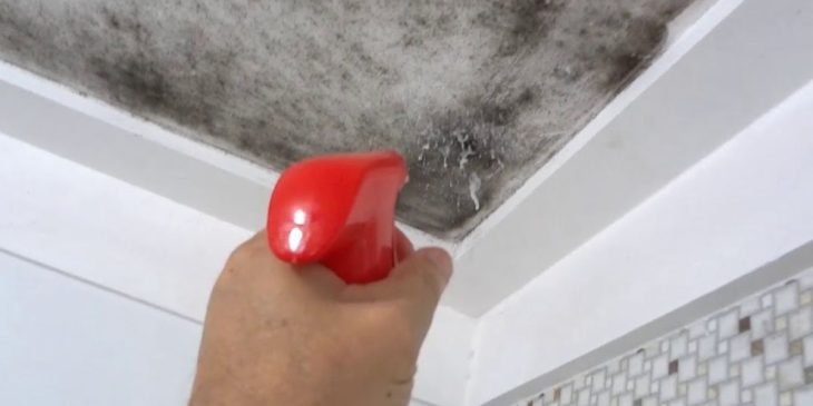 como limpar mofo o teto