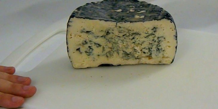 como fazer queijo mofado penicillium roqueforti comprar como fazer queijo brie queijo com mofo nome cultura mesofílica queijo com mofo branco queijo caseiro kit fazer queijo caseiro