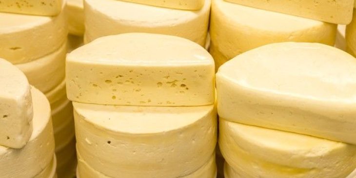 receita queijo parmesão globo rural como fazer queijo parmesão industrial quantos litros de leite para fazer 1kg de queijo parmesão queijo parmesão 1kg como fazer queijo caseiro queijo parmesão kg queijo parmesão ralado queijo parmesão tempo maturação