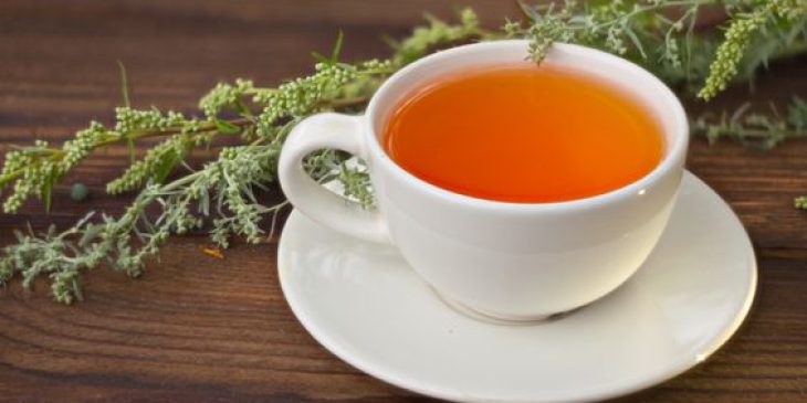 chá de Artemísia como preparar receita