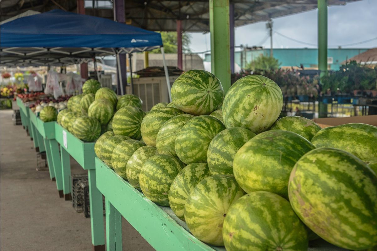 Como escolher melancia no mercado e pegar as madurinhas