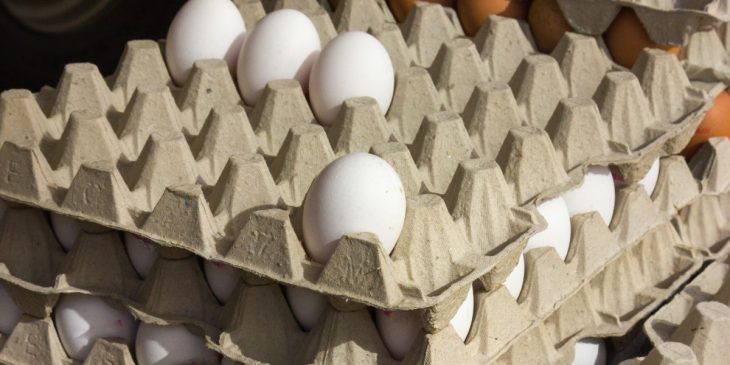 como escolher ovos no mercado