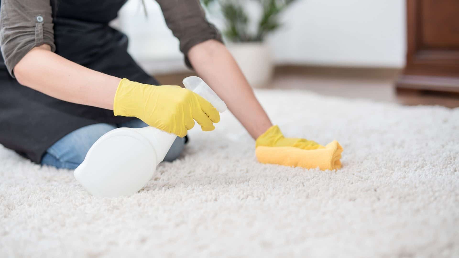 Não use esses 3 produtos para limpar tapetes grandes ?