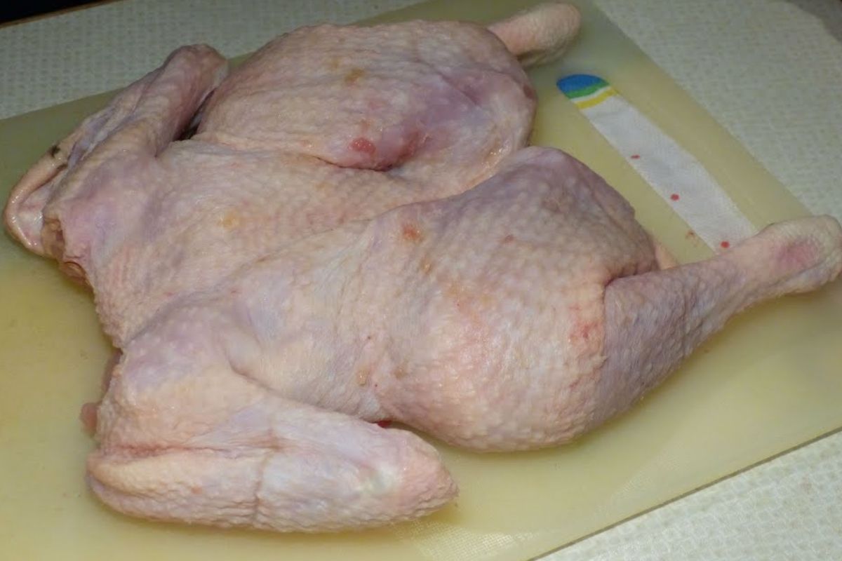 Jornal Correio  Você sabe a diferença entre peru, chester e frango? Confira