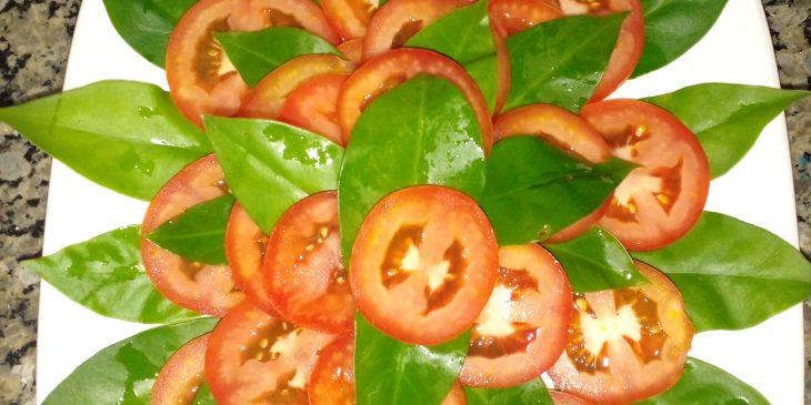 Salada de ora-pro-nóbis com tomate