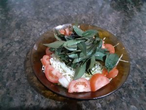 Salada de ora-pro-nóbis com tomate