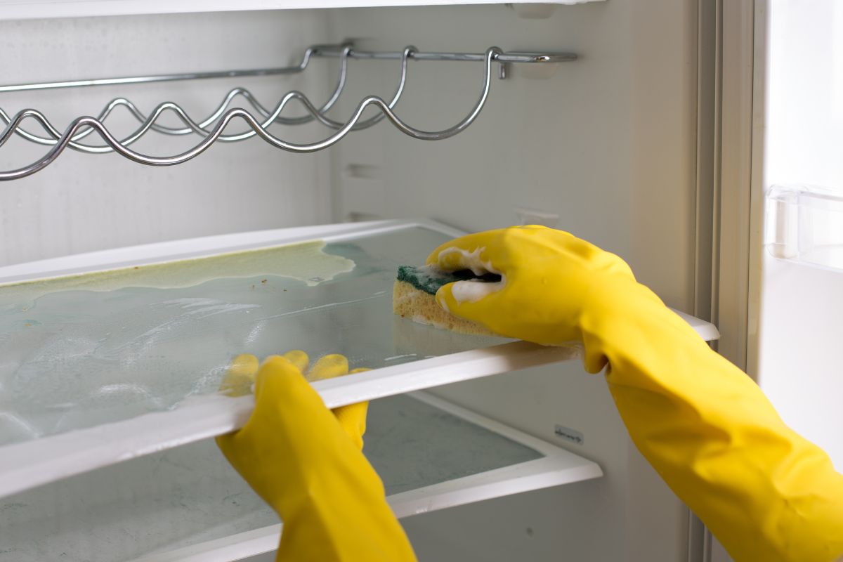 Como limpar prateleiras da geladeira e deixar todas novas