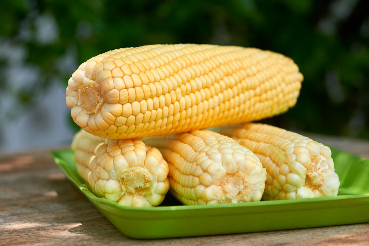 Como congelar milho verde: isso vai salvar suas receitas