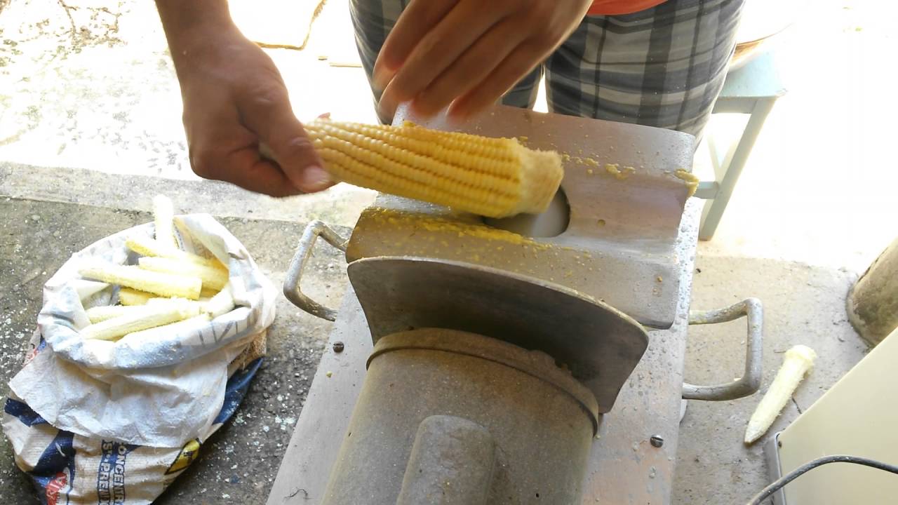 3 truques para ralar milho sem sujar a sua cozinha